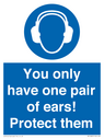 mandatory-you-only-have-one-pair-of-ears-protect-them~